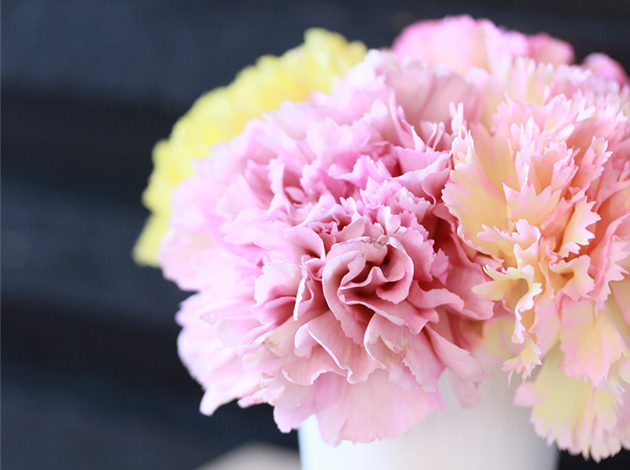 FUJIHARA Ladies Clinic